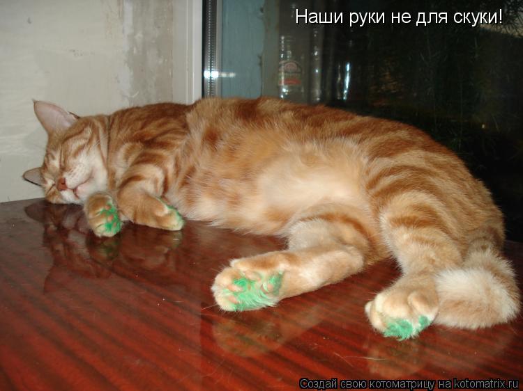 Наши руки не для скуки!... Котоматрица: Наши руки не для скуки!