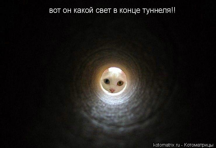 вот он какой свет в конце туннеля!!... Котоматрица: вот он какой свет в конце туннеля!!