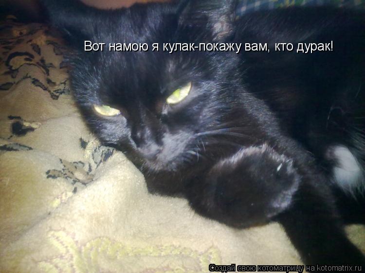 Вот намою я кулак-покажу вам, кто дурак!... Котоматрица: Вот намою я кулак-покажу вам, кто дурак!