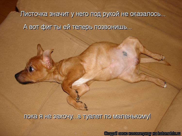 Листочка значит у него под рукой не оказалось... А вот фиг ты ей теперь позвонишь... пока я не захочу... Котоматрица: Листочка значит у него под рукой не оказалось... А вот фиг ты ей теперь позвонишь... пока я не захочу...в туалет по маленькому!