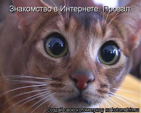 Знакомство в Интернете. Провал.... Котоматрица: Знакомство в Интернете. Провал.