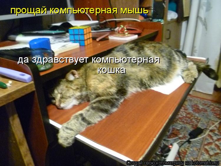 Котоматрица: прощай компьютерная мышь да здравствует компьютерная кошка