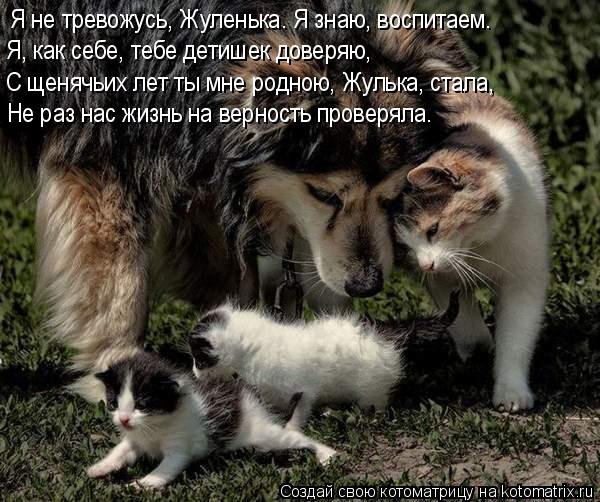 Я не тревожусь, Жуленька. Я знаю, воспитаем. С щенячьих лет ты мне родною, Жулька, стала, Не раз нас ... Котоматрица: Я не тревожусь, Жуленька. Я знаю, воспитаем. С щенячьих лет ты мне родною, Жулька, стала, Не раз нас жизнь на верность проверяла. Я, как себе, те