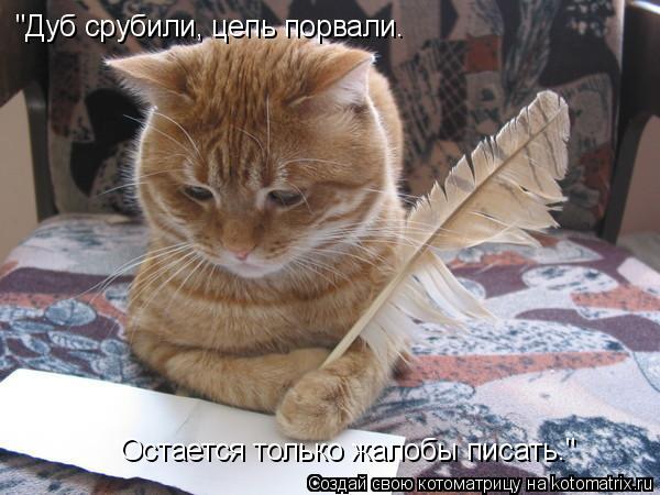 "Дуб срубили, цепь порвали. Остается только жалобы писать."... Котоматрица: "Дуб срубили, цепь порвали. Остается только жалобы писать."