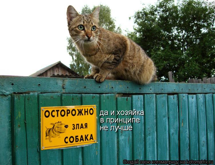 да и хозяйка в принципе не лучше... Котоматрица: да и хозяйка в принципе не лучше