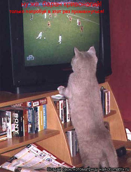 ну же, баран кривоногий! только попробуй в этот раз промахнуться!... Котоматрица: ну же, баран кривоногий! только попробуй в этот раз промахнуться!