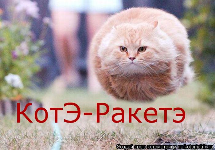 КотЭ-Ракетэ... Котоматрица: КотЭ-Ракетэ