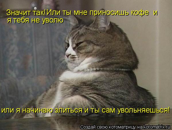 Значит так! Или ты мне приносишь кофе и я тебя не уволю или я начинаю злиться и ты сам увольняешься!... Котоматрица: Значит так! Или ты мне приносишь кофе и я тебя не уволю или я начинаю злиться и ты сам увольняешься!