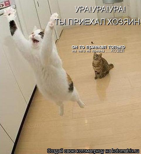 УРА!УРА!УРА! ТЫ ПРИЕХАЛ ХОЗЯИН он то приехал только не чего не привез .....КОЗЕЛ... Котоматрица: УРА!УРА!УРА! ТЫ ПРИЕХАЛ ХОЗЯИН он то приехал только не чего не привез .....КОЗЕЛ