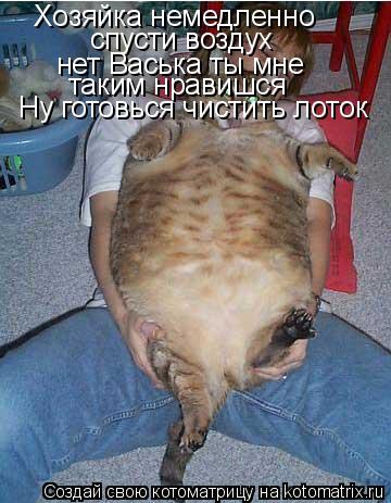 Хозяйка немедленно спусти воздух нет Васька ты мне таким нравишся Ну готовься чистить лоток... Котоматрица: Хозяйка немедленно спусти воздух нет Васька ты мне таким нравишся Ну готовься чистить лоток