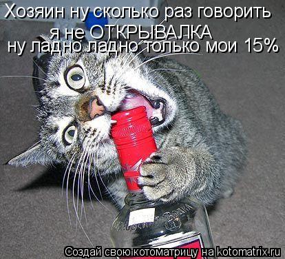 Хозяин ну сколько раз говорить я не ОТКРЫВАЛКА ну ладно ладно только мои 15%... Котоматрица: Хозяин ну сколько раз говорить я не ОТКРЫВАЛКА ну ладно ладно только мои 15%