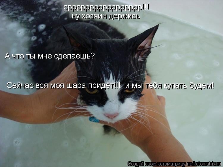 рррррррррррррррррр!!! ну хозяин держись А что ты мне сделаешь? Сейчас вся моя шара придёт!!! и мы те... Котоматрица: рррррррррррррррррр!!! ну хозяин держись А что ты мне сделаешь? Сейчас вся моя шара придёт!!! и мы тебя купать будем!