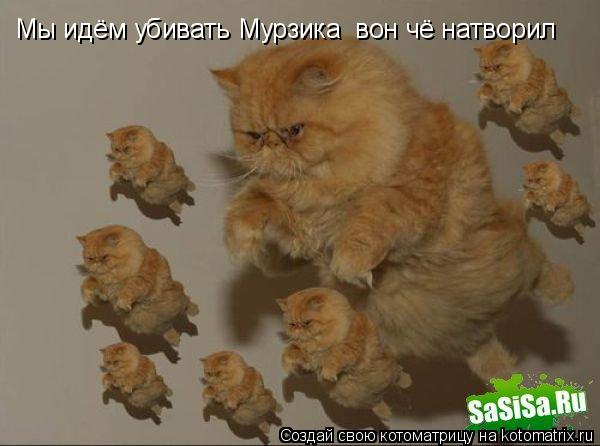 Мы идём убивать Мурзика вон чё натворил... Котоматрица: Мы идём убивать Мурзика вон чё натворил