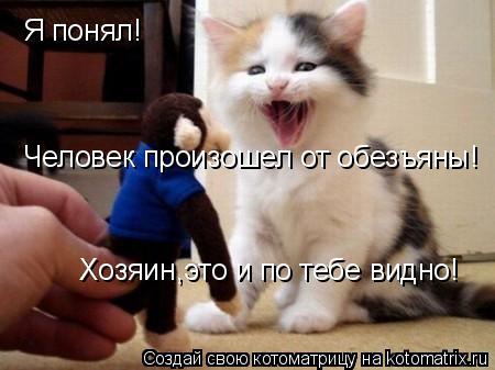 Я понял! Человек произошел от обезъяны! Хозяин,это и по тебе видно!... Котоматрица: Я понял! Человек произошел от обезъяны! Хозяин,это и по тебе видно!