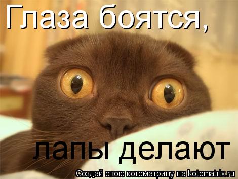 Глаза боятся, лапы делают... Котоматрица: Глаза боятся, лапы делают