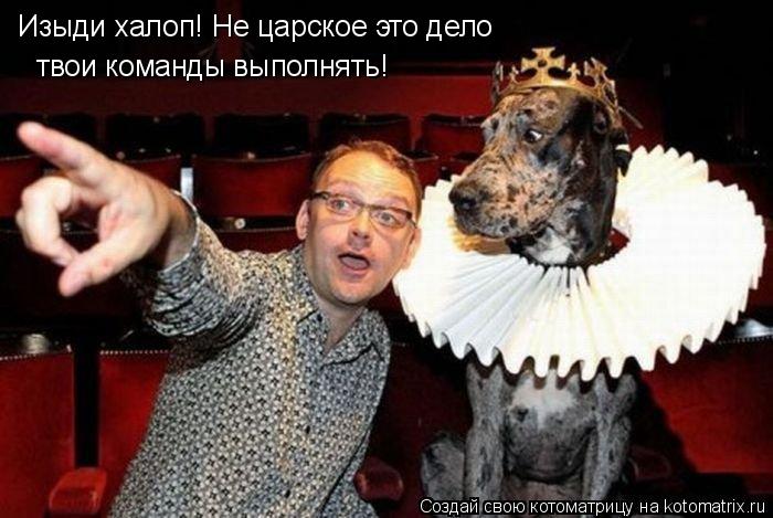 Изыди халоп! Не царское это дело твои команды выполнять!... Котоматрица: Изыди халоп! Не царское это дело твои команды выполнять!