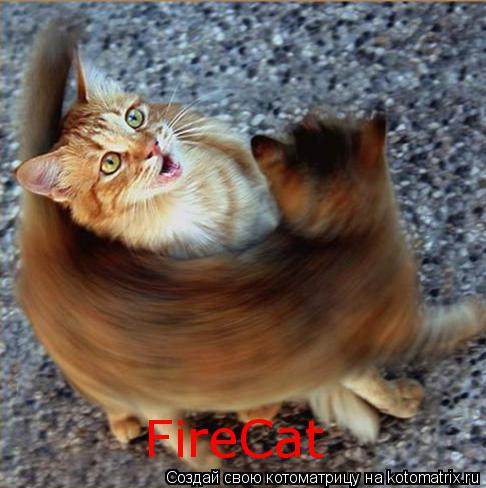 Котоматрица: FireCat