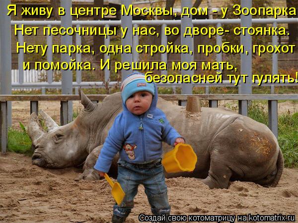 Я живу в центре Москвы, дом - у Зоопарка. Нет песочницы у нас, во дворе- стоянка. Нету парка, одна ... Котоматрица: Я живу в центре Москвы, дом - у Зоопарка. Нет песочницы у нас, во дворе- стоянка. Нету парка, одна стройка, пробки, грохот и помойка. И решила м