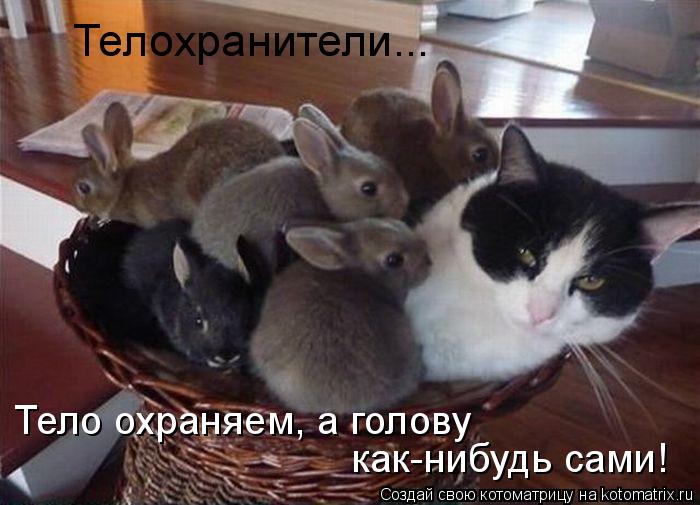 Телохранители... Тело охраняем, а голову как-нибудь сами!... Котоматрица: Телохранители... Тело охраняем, а голову как-нибудь сами!