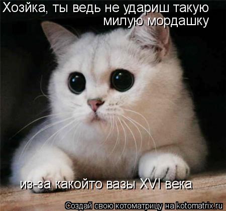 Хозйка, ты ведь не удариш такую милую мордашку из-за какойто вазы ХVI века... Котоматрица: Хозйка, ты ведь не удариш такую милую мордашку из-за какойто вазы ХVI века