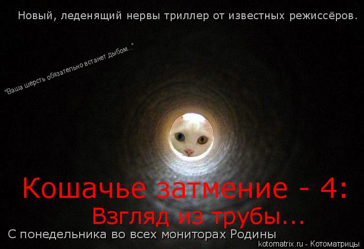 Кошачье затмение - 4: Взгляд из трубы... С понедельника во всех мониторах Родины Новый, леденящий не... Котоматрица: Кошачье затмение - 4: Взгляд из трубы... С понедельника во всех мониторах Родины Новый, леденящий нервы триллер от известных режиссёров. "Ваш
