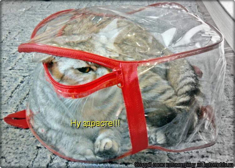 Ну здрасте!!!... Котоматрица: Ну здрасте!!!