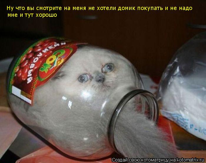Ну что вы на меня смотрите нехотили Ну что вы смотрите на меня не хотели домик покупать и не надо мне... Котоматрица: Ну что вы на меня смотрите нехотили Ну что вы смотрите на меня не хотели домик покупать и не надо мне и тут хорошо