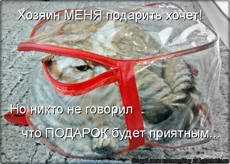 Хозяин МЕНЯ подарить хочет! Но никто не говорил что ПОДАРОК будет приятным...... Котоматрица: Хозяин МЕНЯ подарить хочет! Но никто не говорил что ПОДАРОК будет приятным...