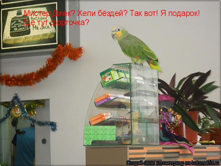 Мистер Джек? Хепи бёздей? Так вот! Я подарок! Где тут форточка?... Котоматрица: Мистер Джек? Хепи бёздей? Так вот! Я подарок! Где тут форточка?