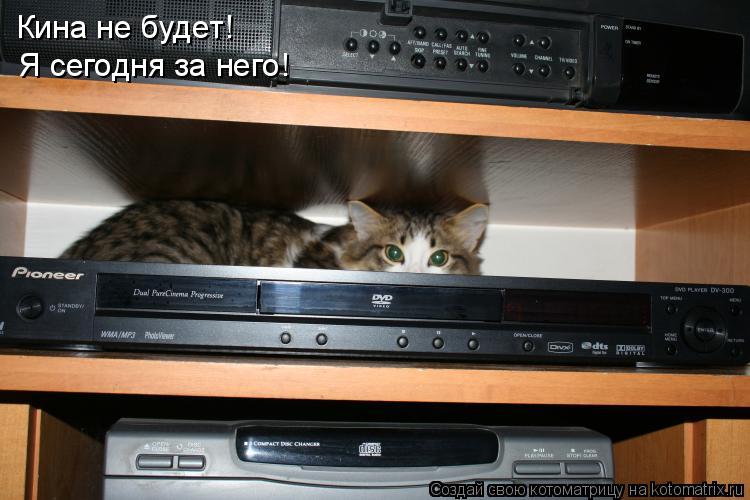 Кина не будет! Я сегодня за него!... Котоматрица: Кина не будет! Я сегодня за него!