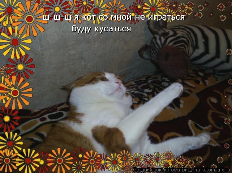 ш-ш-ш я кот со мной не играться ш-ш-ш я кот со мной не играться буду кусаться... Котоматрица: ш-ш-ш я кот со мной не играться ш-ш-ш я кот со мной не играться буду кусаться