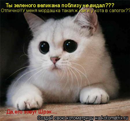 Ты зеленого великана поблизу не видал??? Да,его зовут Шрэк.... Отлично!!У меня мордашка такая ж как и... Котоматрица: Ты зеленого великана поблизу не видал??? Да,его зовут Шрэк.... Отлично!!У меня мордашка такая ж как и у кота в сапогох??