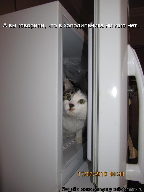Котоматрица: А вы говорили, что в холодильнике ни кого нет...