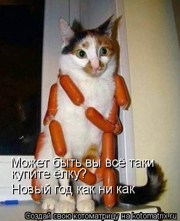 Может быть вы всё таки купите ёлку? Новый год как ни как... Котоматрица: Может быть вы всё таки купите ёлку? Новый год как ни как