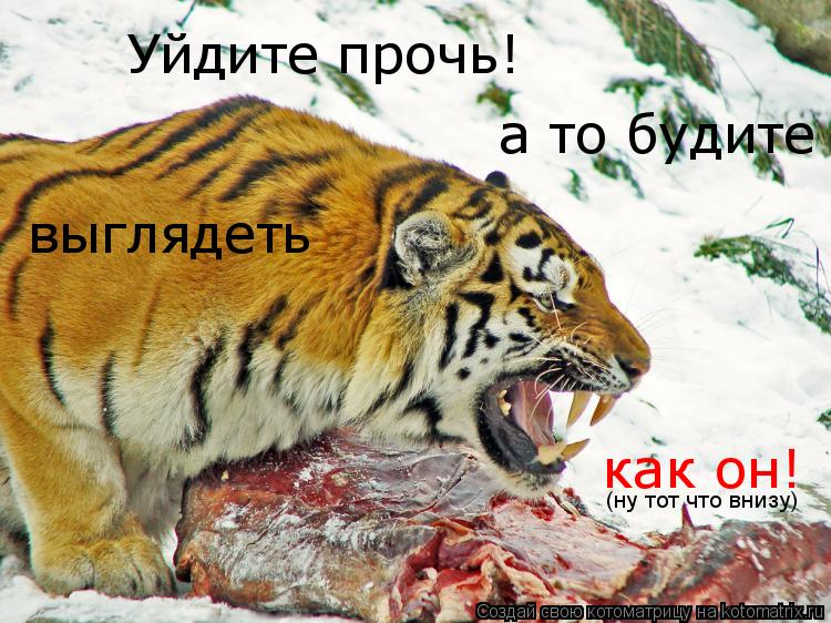 Уйдите прочь! а то будите выглядеть как он! (ну тот что внизу)... Котоматрица: Уйдите прочь! а то будите выглядеть как он! (ну тот что внизу)