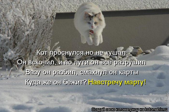 Кот проснулся но не кушал Он вскочил, и по пути он всё разрушил Вазу он разбил, смахнул он карты Куда... Котоматрица: Кот проснулся но не кушал Он вскочил, и по пути он всё разрушил Вазу он разбил, смахнул он карты Куда же он бежит? Навстречу марту!