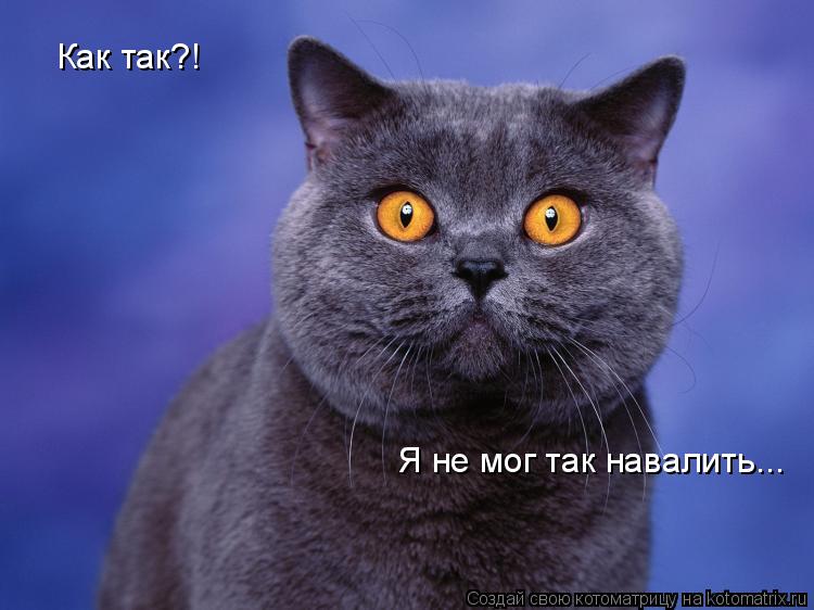 Как так?! Я не мог так навалить...... Котоматрица: Как так?! Я не мог так навалить...