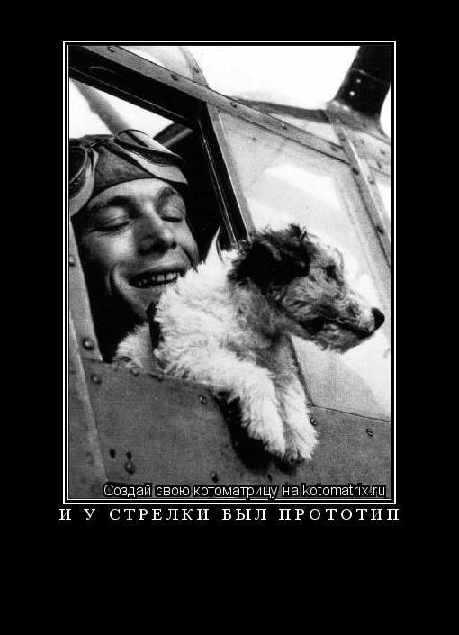 И у Стрелки был прототип ... Котоматрица: И у Стрелки был прототип