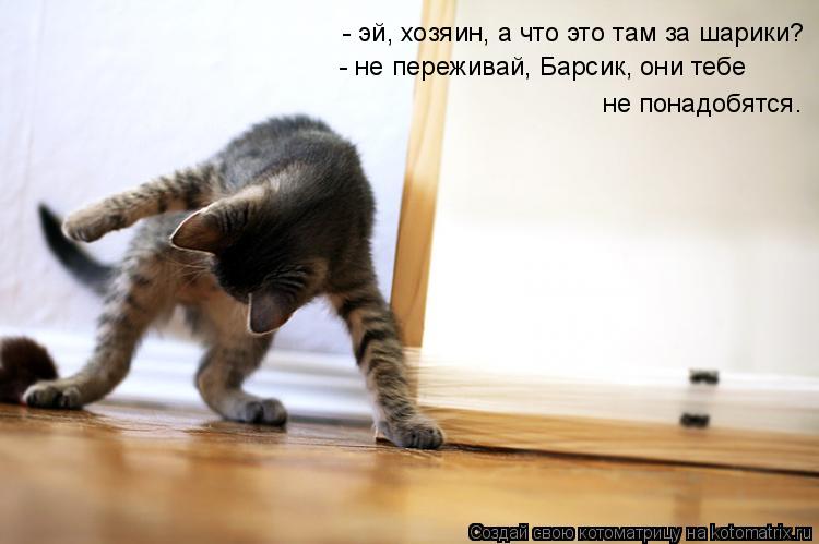 - эй, хозяин, а что это там за шарики? - не переживай, Барсик, они тебе не понадобятся.... Котоматрица: - эй, хозяин, а что это там за шарики? - не переживай, Барсик, они тебе не понадобятся.