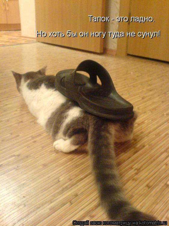 Тапок - это ладно. Но хоть бы он ногу туда не сунул!... Котоматрица: Тапок - это ладно. Но хоть бы он ногу туда не сунул!