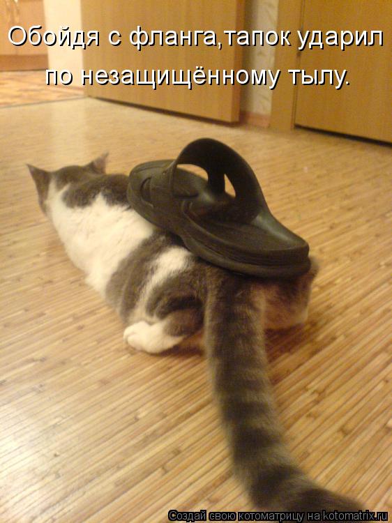 Обойдя с фланга,тапок ударил по незащищённому тылу.... Котоматрица: Обойдя с фланга,тапок ударил по незащищённому тылу.