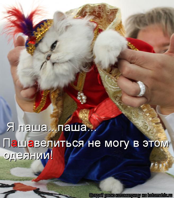 Я паша...паша... Пашавелиться не могу в этом одеянии! а а... Котоматрица: Я паша...паша... Пашавелиться не могу в этом одеянии! а а