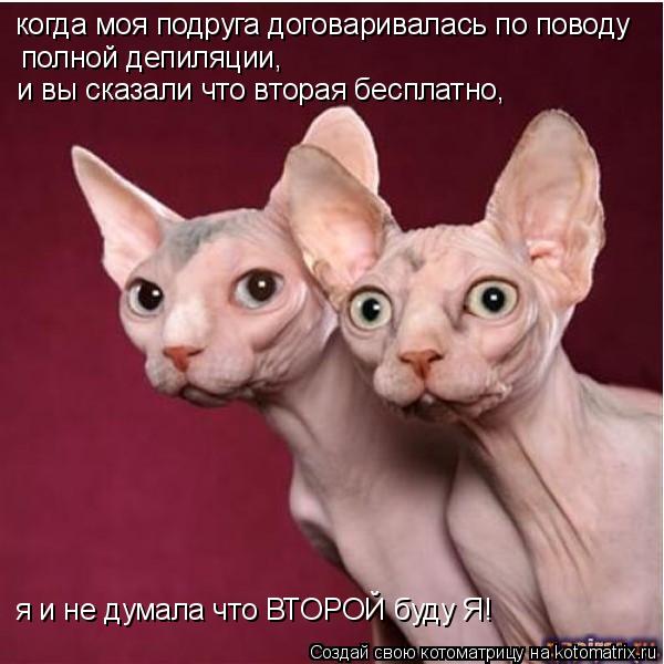 Котоматрица: когда моя подруга договаривалась по поводу я и не думала что ВТОРОЙ буду Я! и вы сказали что вторая бесплатно,  полной депиляции,