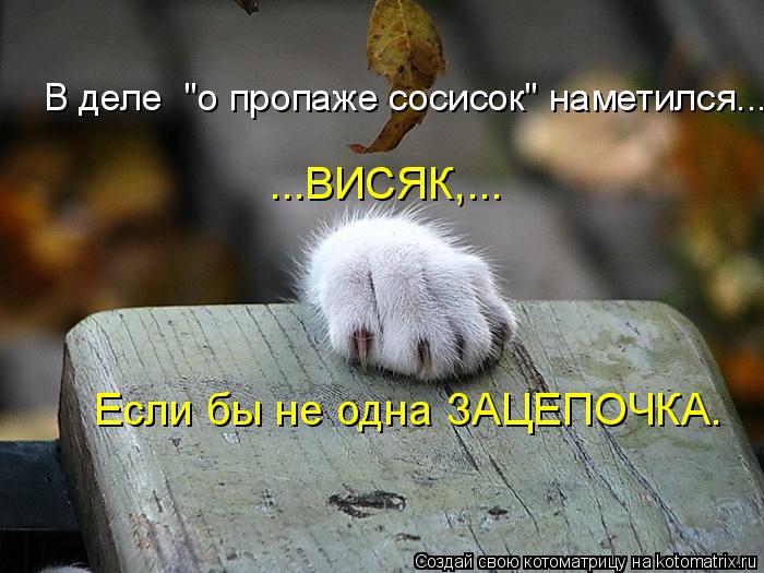 В деле "о пропаже сосисок" наметился... ...ВИСЯК,... Если бы не одна ЗАЦЕПОЧКА.... Котоматрица: В деле "о пропаже сосисок" наметился... ...ВИСЯК,... Если бы не одна ЗАЦЕПОЧКА.