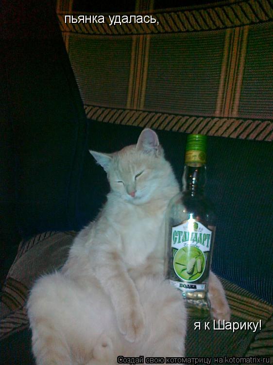 пьянка удалась, я к Шарику!... Котоматрица: пьянка удалась, я к Шарику!