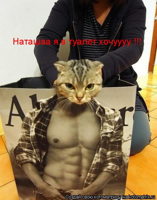 Наташаа я в туалет хочуууу !!!... Котоматрица: Наташаа я в туалет хочуууу !!!