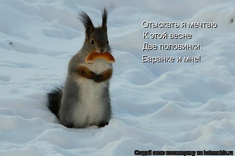 Отыскать я мечтаю К этой весне Две половинки: Баранке и мне!... Котоматрица: Отыскать я мечтаю К этой весне Две половинки: Баранке и мне!