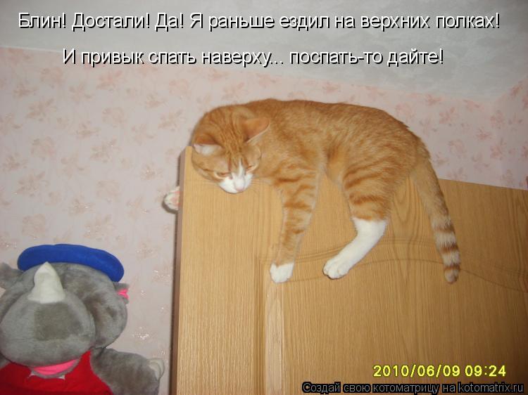 Блин! Достали! Да! Я раньше ездил на верхних полках! И привык спать наверху... поспать-то дайте!... Котоматрица: Блин! Достали! Да! Я раньше ездил на верхних полках! И привык спать наверху... поспать-то дайте!