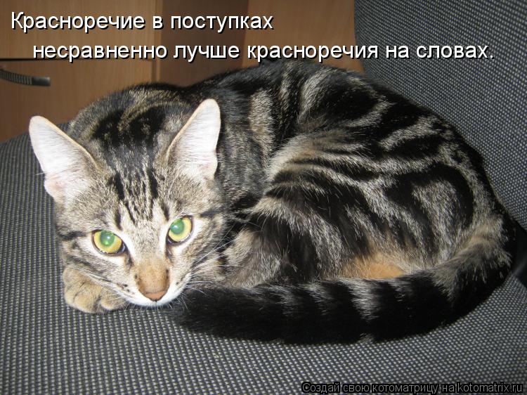 Котоматрица: Красноречие в поступках несравненно лучше красноречия на словах.