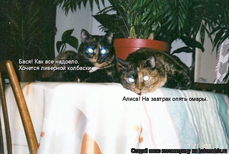Котоматрица: Алиса! На завтрак опять омары. Бася! Как все надоело.  Хочется ливерной колбаски.
